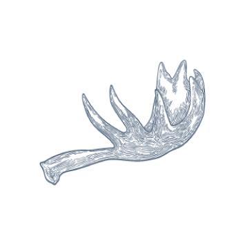 鹿角/龜板