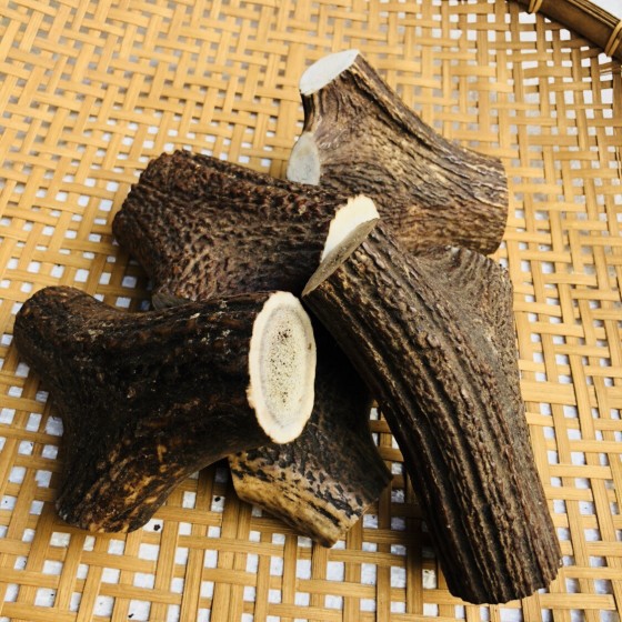 鹿角